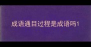成语通目过程是成语吗