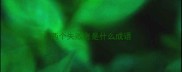 两个失败者是什么成语
