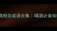 带酒的成语大全酒相关成语合集喝酒必备知识成语学习攻略