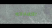 椟开头成语