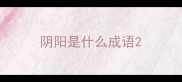 阴阳是什么成语