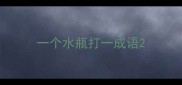 一个水瓶打一成语