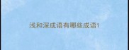 浅和深成语有哪些成语