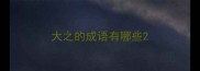 大之的成语有哪些