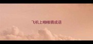 飞机上啪啪猜成语