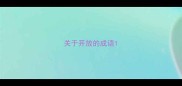 关于开放的成语