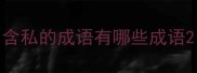 含私的成语有哪些成语