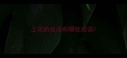 上花的成语有哪些成语