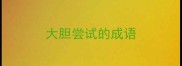 大胆尝试的成语