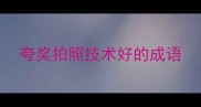 夸奖拍照技术好的成语