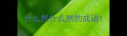 什么然什么然的成语