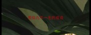 类似九牛一毛的成语