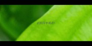 启航四字成语