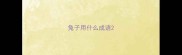 兔子用什么成语