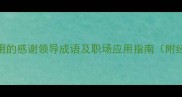 10个最常用的感谢领导成语及职场应用指南附经典例句