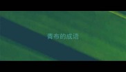 青布的成语