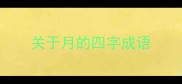 关于月的四字成语