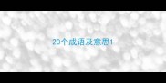 20个成语及意思