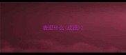表里什么成语