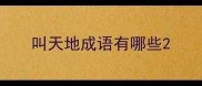 叫天地成语有哪些