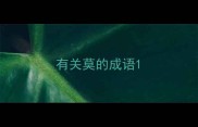 有关莫的成语