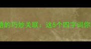 红桃心与成语的巧妙关联这5个四字词你猜对几个