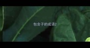 包含子的成语