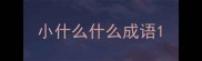 小什么什么成语