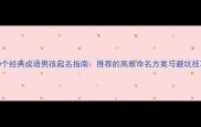 10个经典成语男孩起名指南推荐的高雅命名方案与避坑技巧