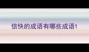 信快的成语有哪些成语