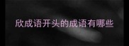 欣成语开头的成语有哪些