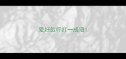 爱好旅行打一成语