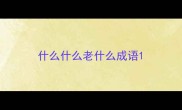 什么什么老什么成语