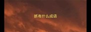 抓有什么成语