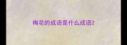 梅花的成语是什么成语