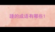踵的成语有哪些