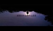 成语曰什么雨什么成语