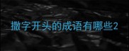 撒字开头的成语有哪些