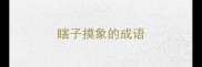 瞎子摸象的成语