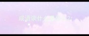 成语谈什么说什么