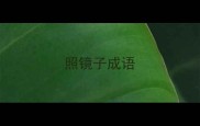 照镜子成语