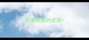 赞美眼睛的成语