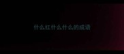 什么红什么什么的成语