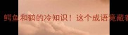 鳄和号成语鳄鱼和鹤的冷知识这个成语竟藏着千年智慧