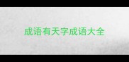 成语有天字成语大全