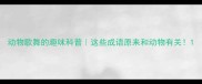 动物歌舞的趣味科普这些成语原来和动物有关
