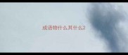 成语物什么其什么