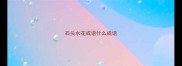 石头水花成语什么成语