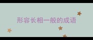 形容长相一般的成语