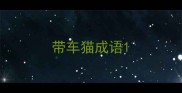 带车猫成语